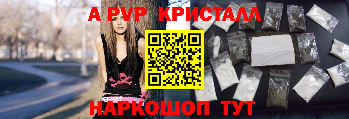 A PVP СК КРИС Мичуринск