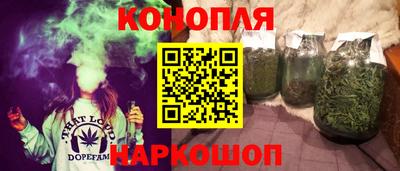 гидропоника Дубна