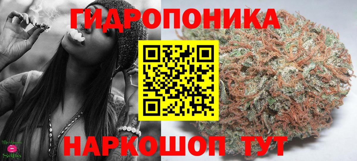 МАРИХУАНА гибрид Мичуринск